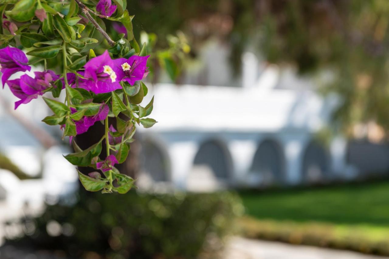 Casa Montzo Boutique Hotel Kateleios Zewnętrze zdjęcie